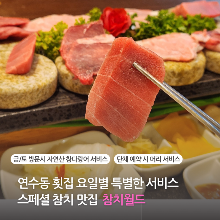  연수동 횟집 요일별 특별 서비스 스페셜 참치 맛집 연수역 참치월드