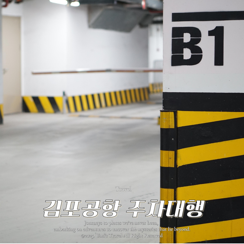 김포 공항 주차 대행업체 비교 정리 (2024년 12월 기준)
