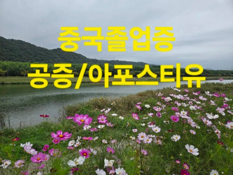  중국 고등학교 졸업증 아포스티유