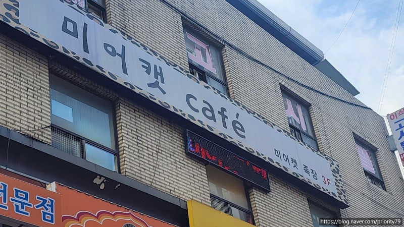 사진 4