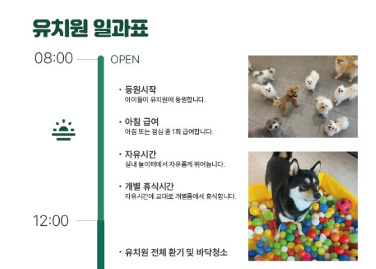 사진 5