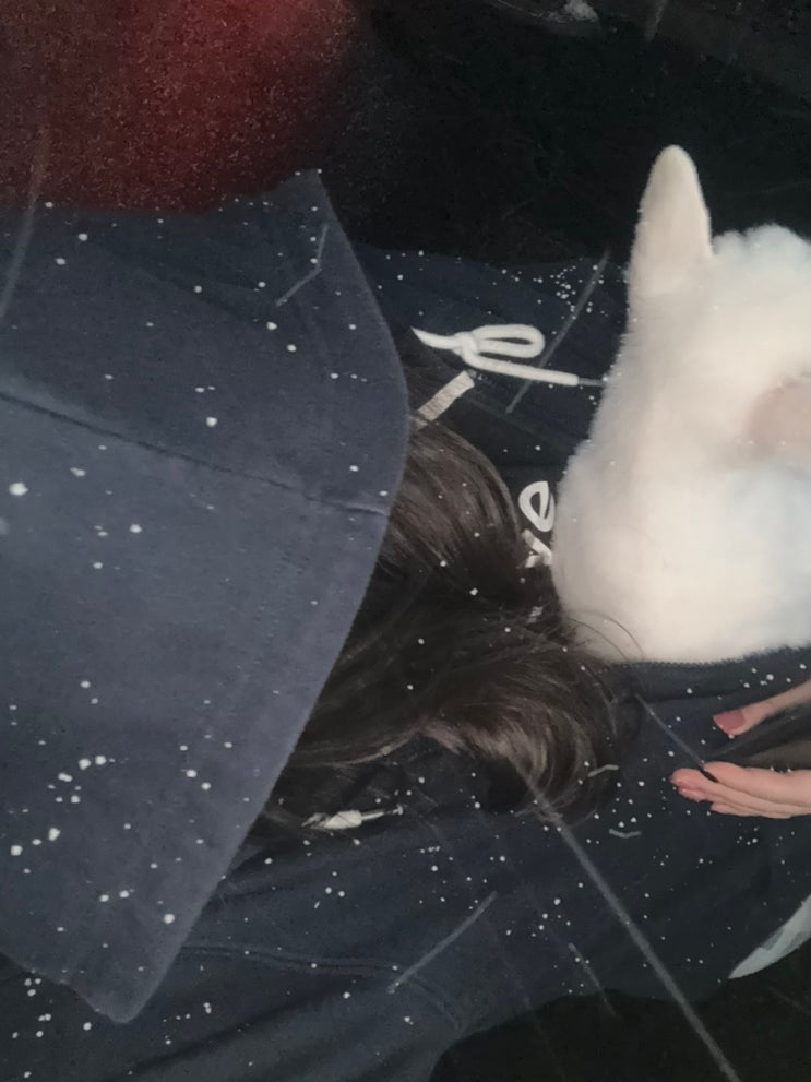  ❨