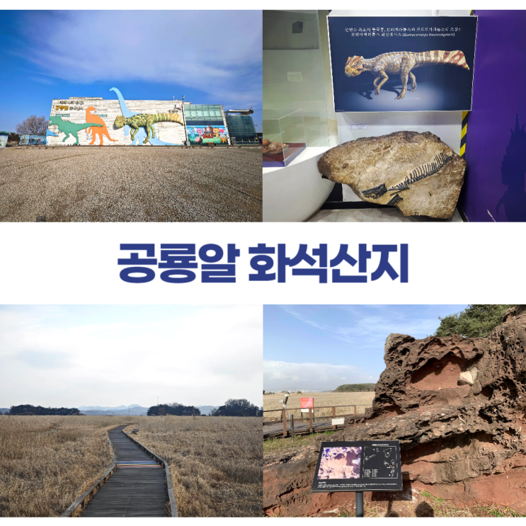 화성시 공룡알 화석산지 코리아케라톱스 공룡의 낙원 화성시 공룡알 화석산지 코리아케라톱스 공룡의 낙원