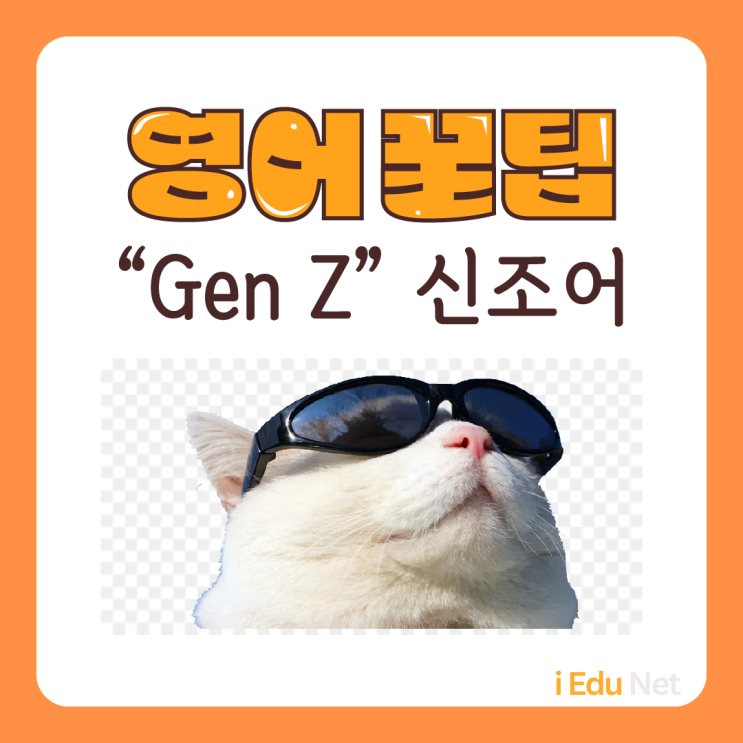  [영어 꿀팁] 영어로도 트렌디 하게! 요즘 세대 "Gen Z" 신조어 | 실생활 영어 회화