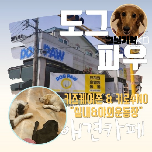 사진 2