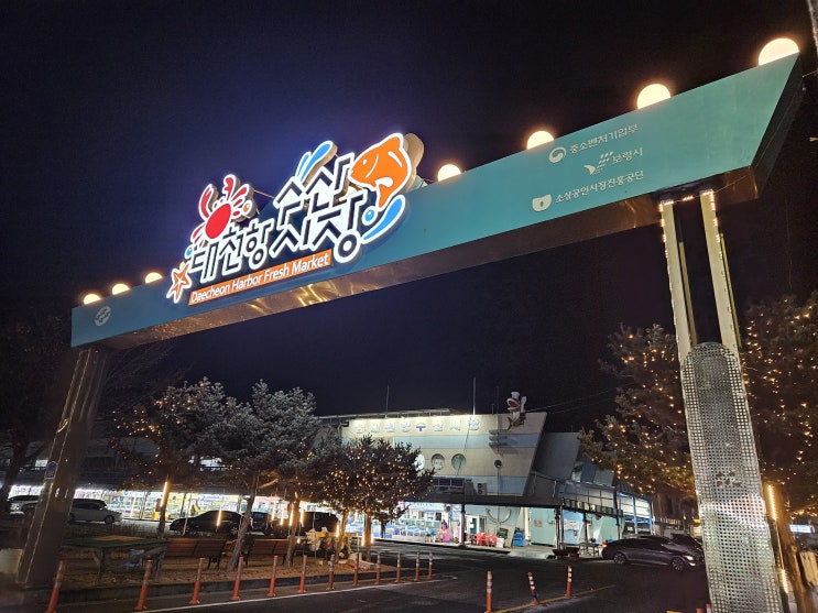  대천항 수산시장 맛집 녹도수산 방어 회 포장