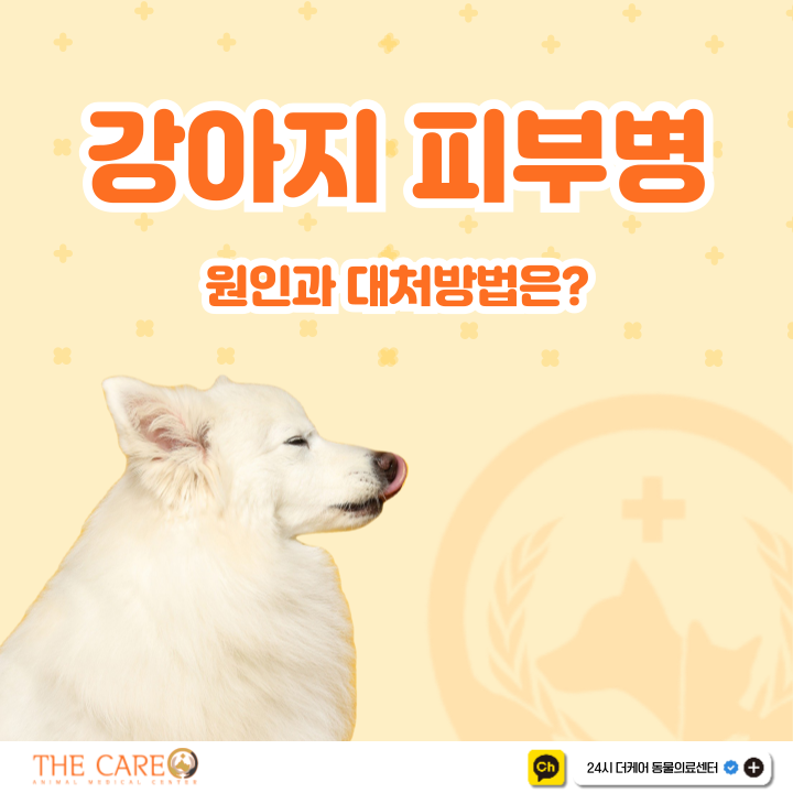  강아지 피부병 원인과 대처방법