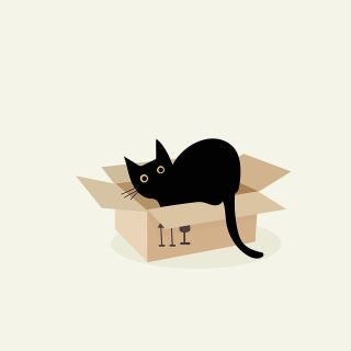 고양이 죽이는 꿈 해몽합니다!