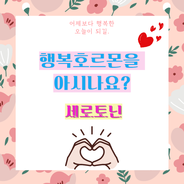 행복호르몬 세로토닌! 기분과 건강을 지키는 완벽 가이드