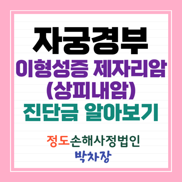 ☆자궁경부 이형성증 제자리암(상피내암) 진단금 완벽하게 알아보기☆