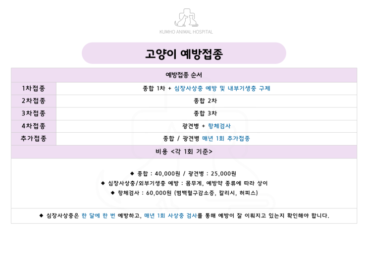  광주 고양이 예방접종 안내 [광주 서구 동물병원, 금호동 동물병원, 광주 치과 동물병원]