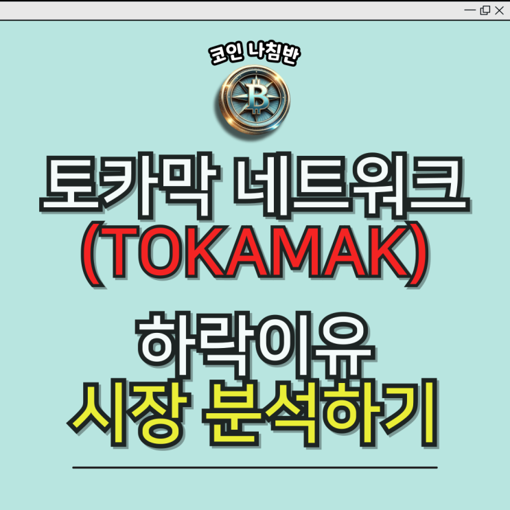  토카막네트워크란? 하락원인 및 대처법 전망