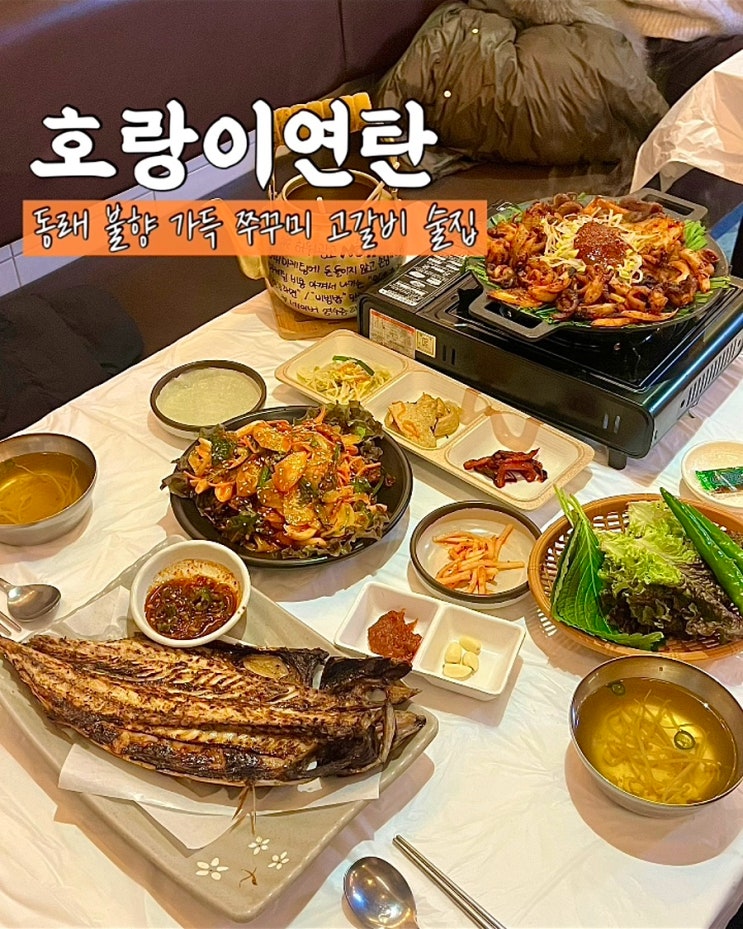  부산 동래술집 호랑이연탄 단체모임 연탄불쭈꾸미 고갈비 맛집