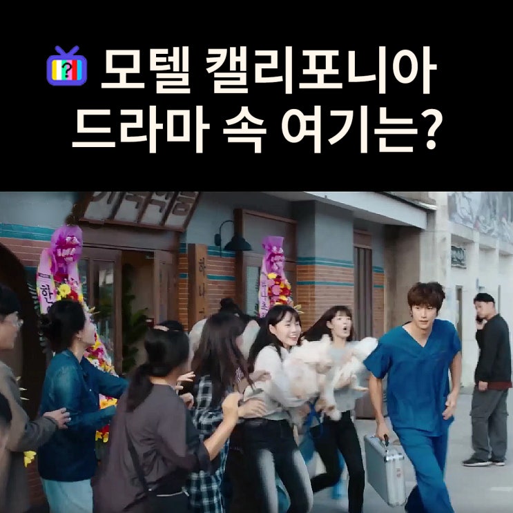  수의사 연수의 하나읍 하나가축병원은?  영월 트레블라운지 (드라마 모텔 캘리포니아 촬영지)