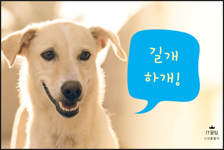 갤럭시 화면 길게 캡쳐 간편하게 하는 방법 갤럭시 화면 길게 캡쳐 간편하게 하는 방법