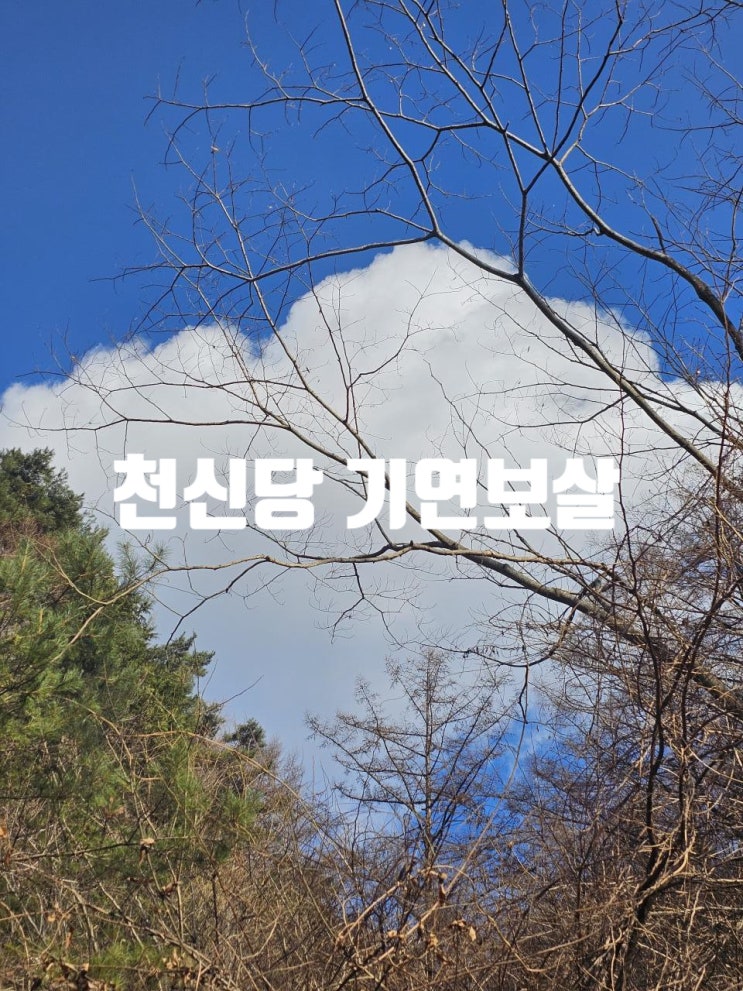  대구 용한 점집 천신당 기연보살 방문후기