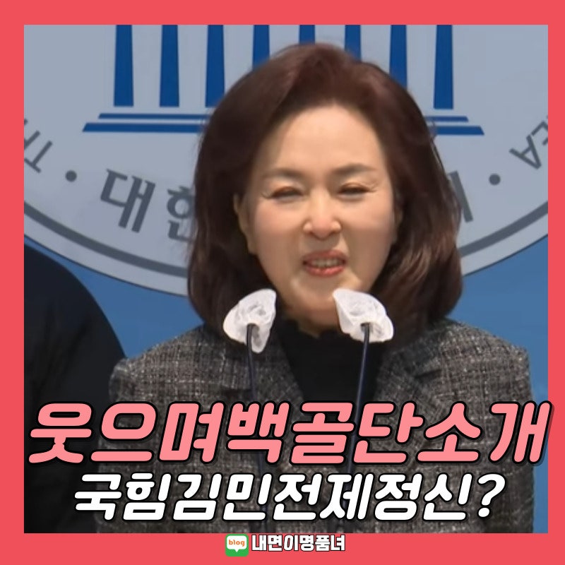 국힘 김민전 제정신인가? 국회로 백골단 불러 기자회견 주선 프로필 뜻 반공청년단