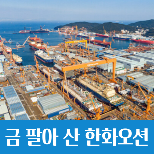  금 팔아 산 주식, 한화오션 수익률