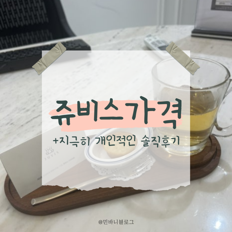 정형돈 다이어트 쥬비스 가격 (+지극히 개인적인 후기)