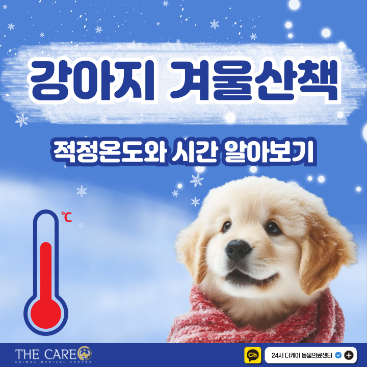  강아지 겨울산책 온도 적정시간 알아보기