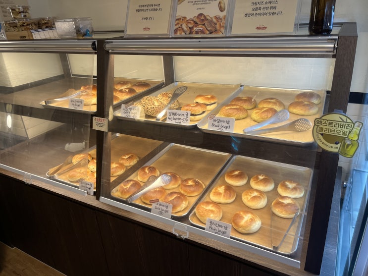  부산역 카페｜  맛, 가성비 다 좋은 베이글 맛집 올선데이 내돈내산