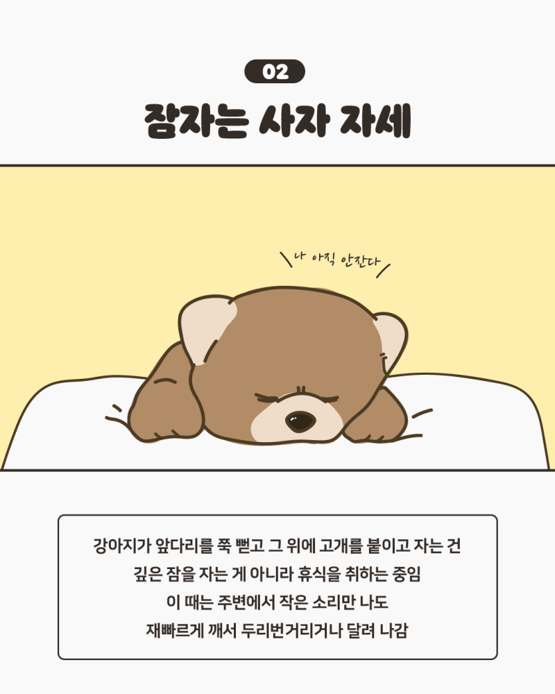 강아지 만화 캐릭터 최종 그리기 추천, image size:800x1000
