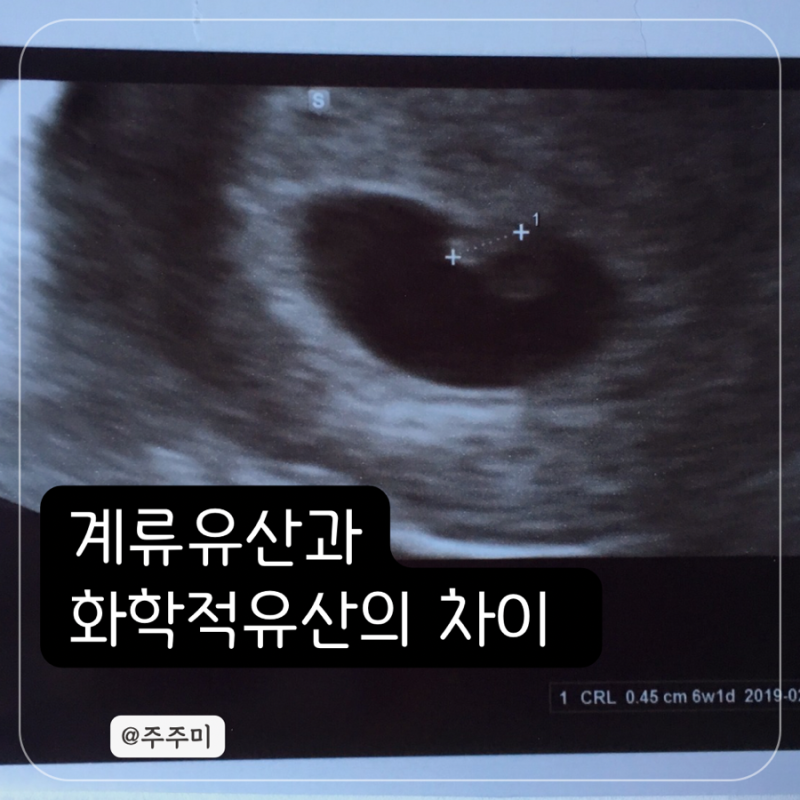 계류유산과 화학적 유산의 차이 증상 원인