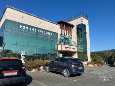 사진 7