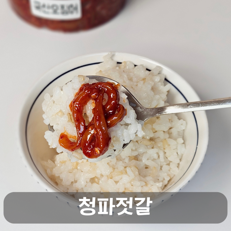  속초중앙시장맛집 청파젓갈, 맛깔나는 오징어젓갈과 명태회무침 후기
