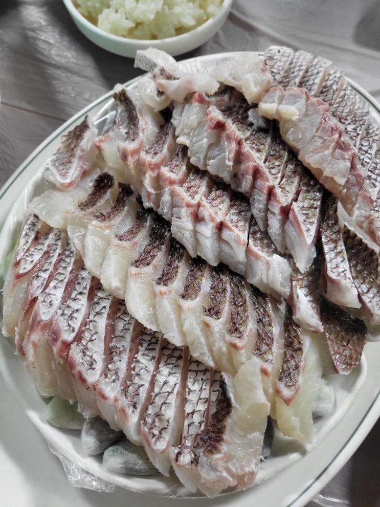  전주 참돔 맛집 전북대 횟집 추천 숙성 참돔의 진수를 맛 본 청정회수산