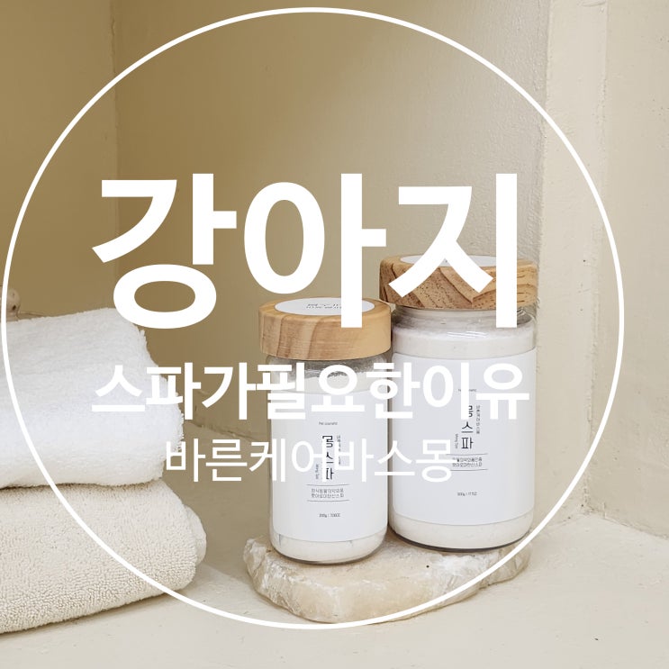  건조한 겨울철 강아지 스파가 필요한 이유