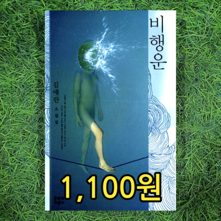  김애란 작가 소설집 비행운 문학과 지성사 1,100원 두근두근 내인생 작가 중고책 무게로 헌책방 중고서점