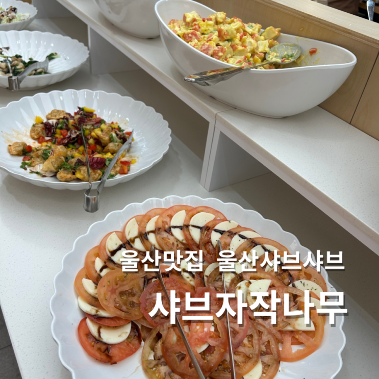  울산 신정동 맛집 샤브자작나무 무한리필 샤브샤브 뷔페