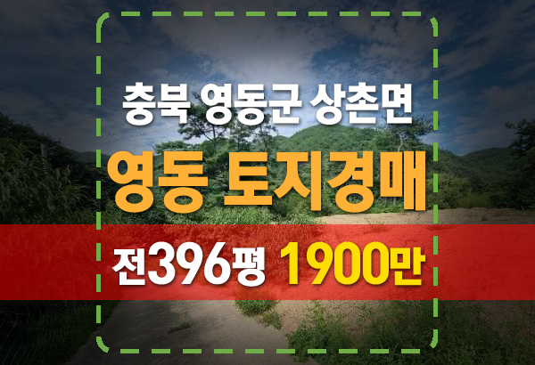 충북 영동군 상촌면 토지경매 전396평