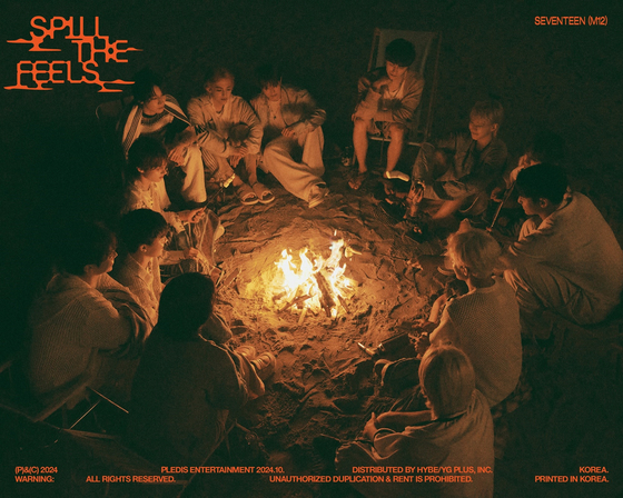 <b>세븐틴</b>, 2024년 <b>연간 앨범차트</b> 1·2위 석권…음반 강자 입증