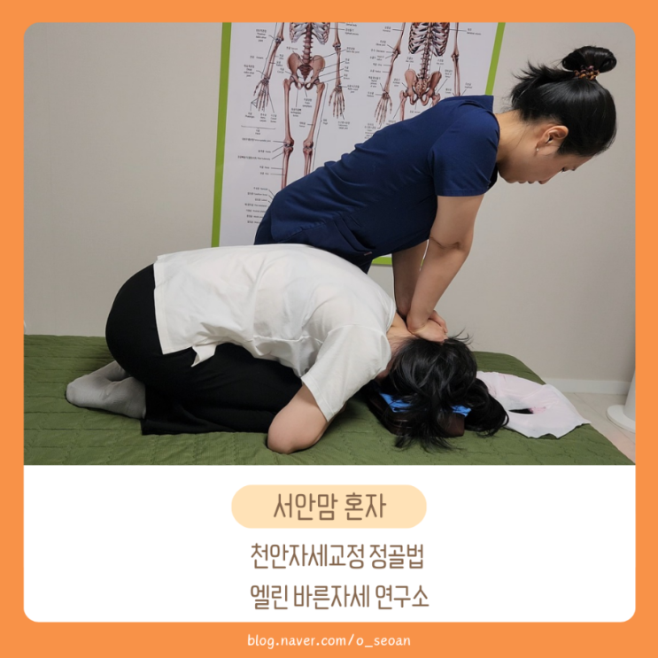  천안자세교정 정골법 엘린 바른자세 연구소