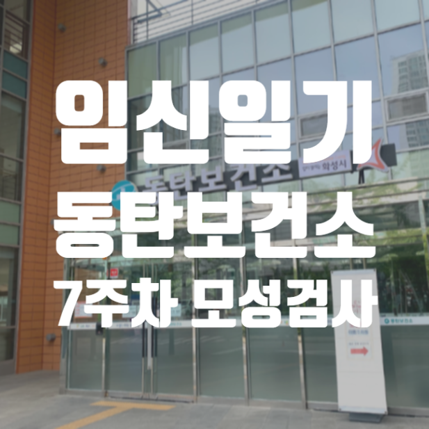  [임신일기] 7주차 동탄보건소 모성검사 임신초기검사 _ 결과확인하기