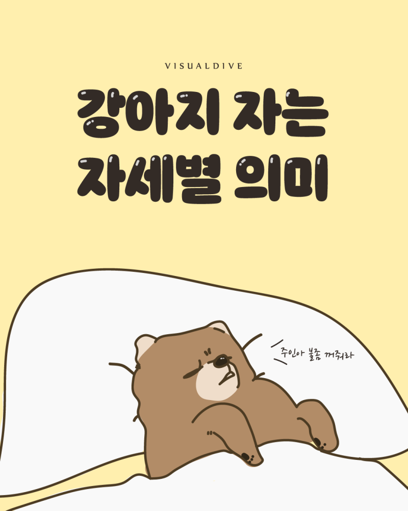강아지 자는 자세별 의미 : 네이버 블로그, image size:800x1000