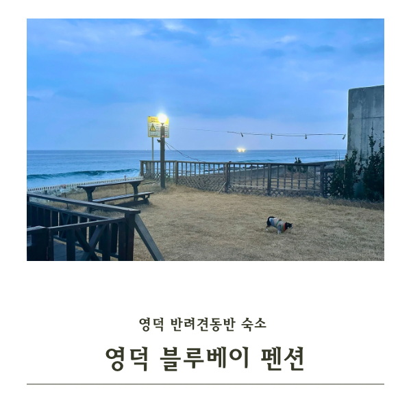 사진 4