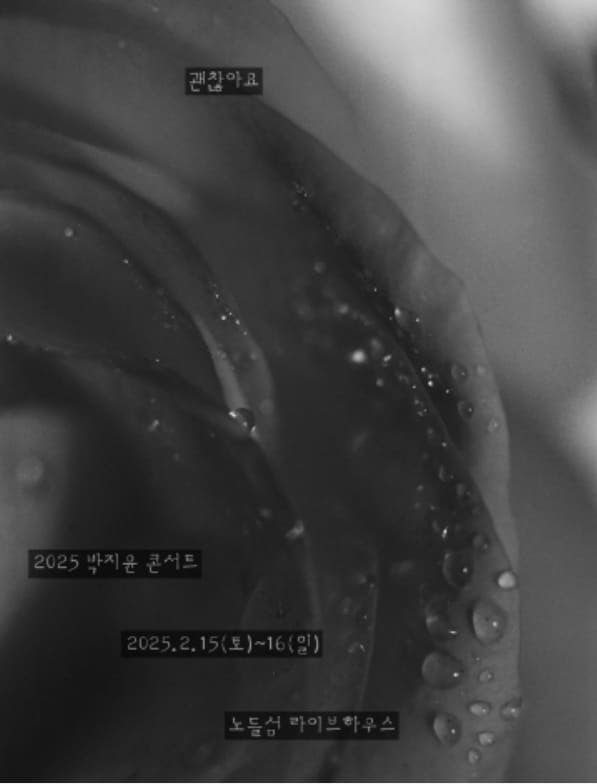 박지윤 콘서트 예매하기