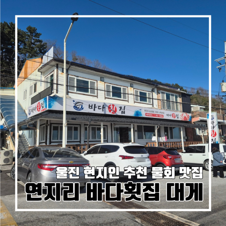  울진 현지인 추천 물회 맛집 연지리 바다횟집 대게 l 주차 예약