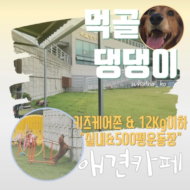 사진 3