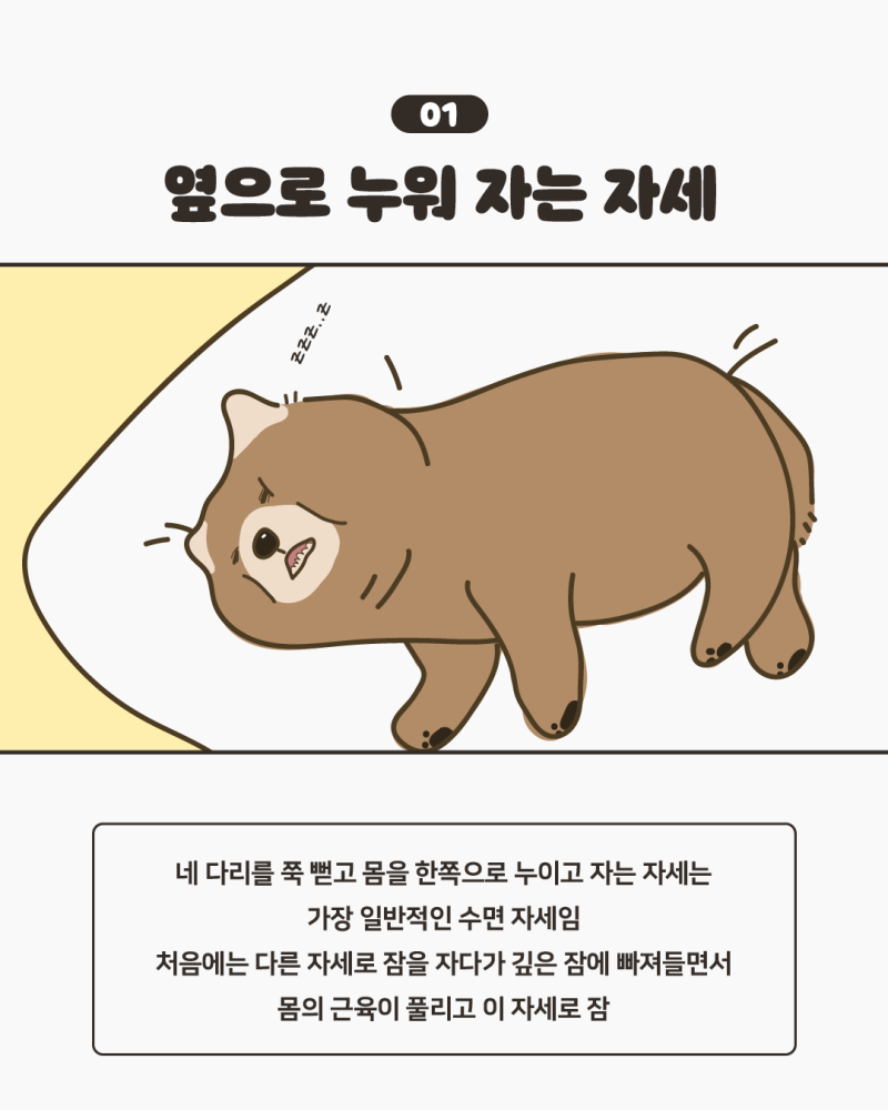 초등학생 보드게임 뼈다귀빼기 스릴 복불복게임 돌봄교실 복불복보드게임 - 액션보드게임 | 쿠팡, image size:800x1000