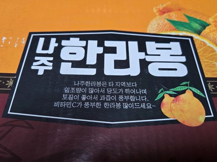 한라봉의 원조는 나주 한라봉 한라봉의 원조는 나주 한라봉