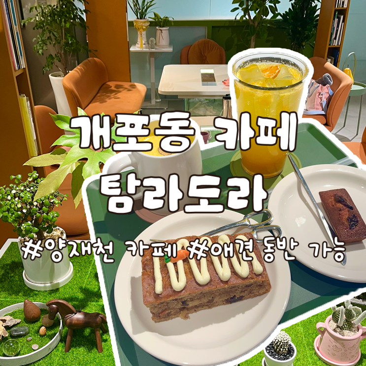  매봉역 놀거리 제주도 컨셉 개포동 카페 탐라도라