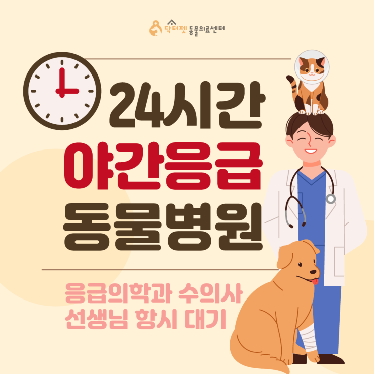  24시간 열려있는 부산 야간응급진료 동물병원 닥터펫동물의료센터 수의사 진료 가능 ICU 중증 입원실 모니터링