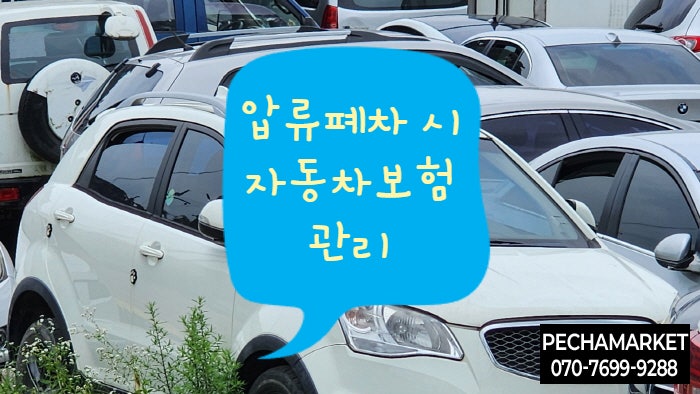  압류폐차 시 자동차보험 관리