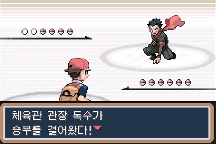  [공략]포켓몬스터 리프그린 14 - 18번도로, 연분홍시티(연분홍체육관, 사파리존) -