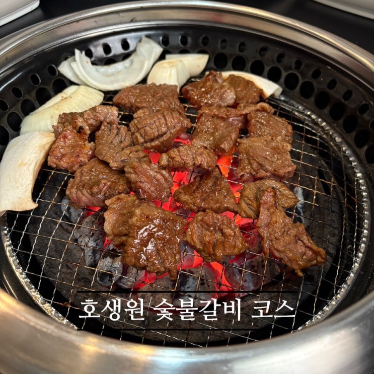   동탄숯불갈비맛집_#내돈내산 #숯불갈비코스 #호생원에 다녀온 후기 