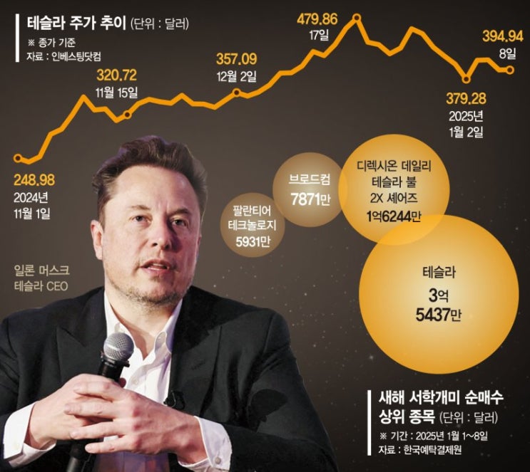 "머스크 형만 믿어" 서학개미'테슬라 주식·ETF'에 올인 "머스크 형만 믿어" 서학개미'테슬라 주식·ETF'에 올인